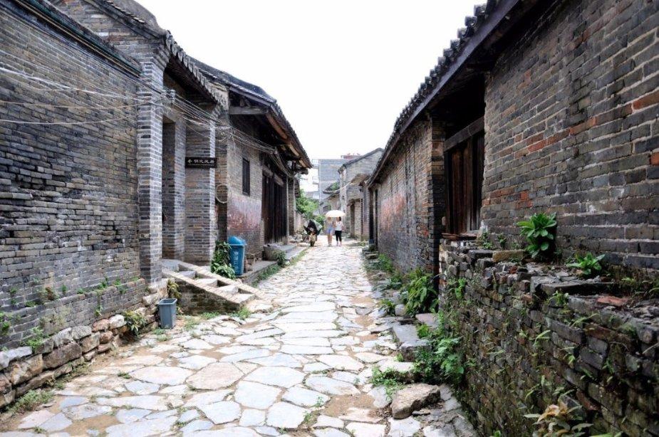 拉夫罗夫:强迫巴勒斯坦人离开加沙地带无论如何都不可接受